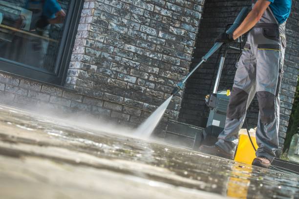 Best Graffiti Removal  in Lake Grove, NY