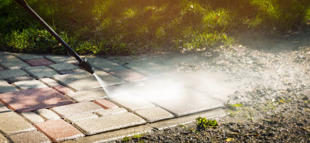 Best Building Exterior Washing  in Lake Grove, NY